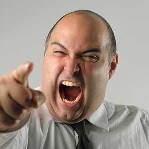 Marco Developer DAM Consulting